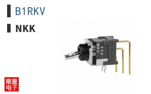 B1RKV