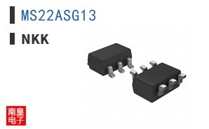 MS22ASG13