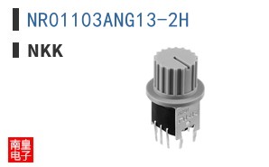 NR01103ANG13-2H