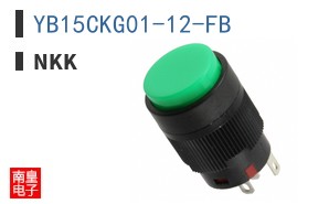 YB15CKG01-12-FB