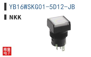 YB16WSKG01-5D12-JB
