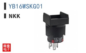 YB16WSKG01