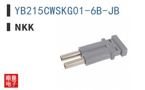 YB215CWSKG01-6B-JB