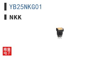 YB25NKG01