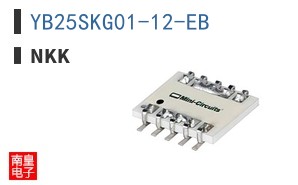 YB25SKG01-12-EB