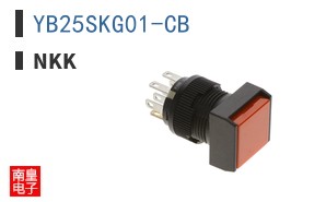 YB25SKG01-CB