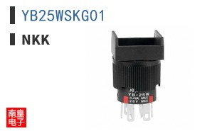 YB25WSKG01