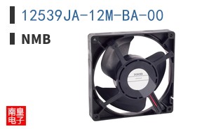 12539JA-12M-BA-00