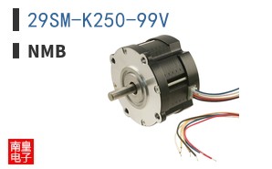 29SM-K250-99V