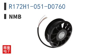 R172H1-051-D0760