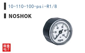 10-110-100-psi-R1/8