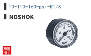 10-110-160-psi-R1/8