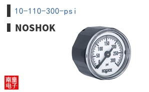 10-110-300-psi
