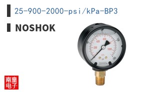 25-900-2000-psi/kPa-BP3