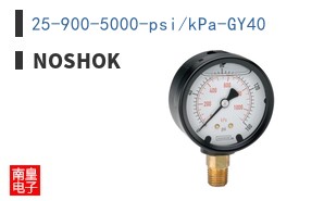 25-900-5000-psi/kPa-GY40