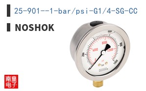 25-901--1-bar/psi-G1/4-SG-CC