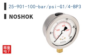 25-901-100-bar/psi-G1/4-BP3