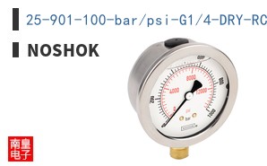 25-901-100-bar/psi-G1/4-DRY-RCP-O2