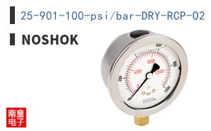 25-901-100-psi/bar-DRY-RCP-O2