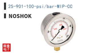 25-901-100-psi/bar-MIP-CC