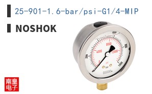25-901-16-bar/psi-G1/4-MIP