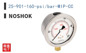 25-901-160-psi/bar-MIP-CC