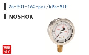 25-901-160-psi/kPa-MIP