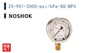 25-901-2000-psi/kPa-SG-BP3