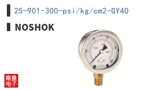 25-901-300-psi/kg/cm2-GY40