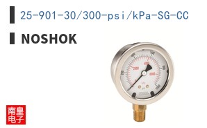 25-901-30/300-psi/kPa-SG-CC