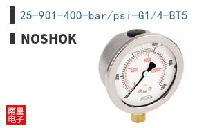 25-901-400-bar/psi-G1/4-BT5