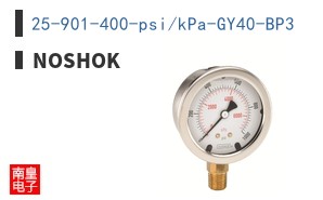 25-901-400-psi/kPa-GY40-BP3