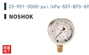25-901-5000-psi/kPa-SST-BT5-GY40