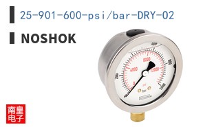 25-901-600-psi/bar-DRY-O2