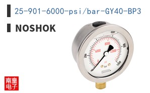 25-901-6000-psi/bar-GY40-BP3