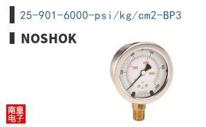 25-901-6000-psi/kg/cm2-BP3