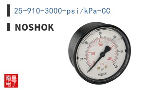 25-910-3000-psi/kPa-CC