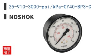 25-910-3000-psi/kPa-GY40-BP3-CC