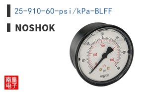 25-910-60-psi/kPa-BLFF