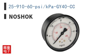 25-910-60-psi/kPa-GY40-CC