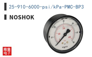 25-910-6000-psi/kPa-PMC-BP3