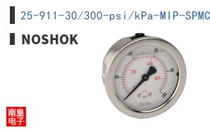 25-911-30/300-psi/kPa-MIP-SPMC