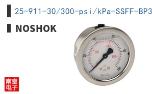 25-911-30/300-psi/kPa-SSFF-BP3