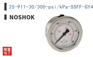 25-911-30/300-psi/kPa-SSFF-GY40-CC