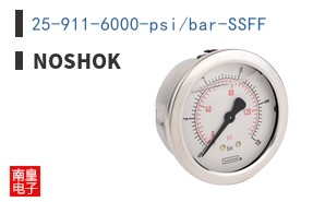 25-911-6000-psi/bar-SSFF