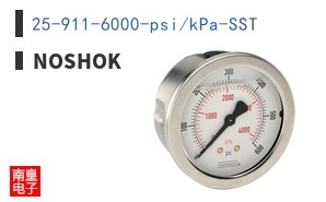 25-911-6000-psi/kPa-SST