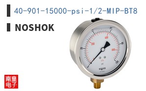 40-901-15000-psi-1/2-MIP-BT8