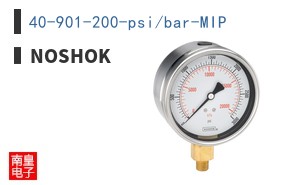 40-901-200-psi/bar-MIP