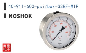 40-911-600-psi/bar-SSRF-MIP