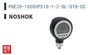 PGE20-10000PSIG-1-2-DL-ST8-CC